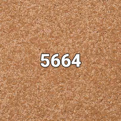 5664